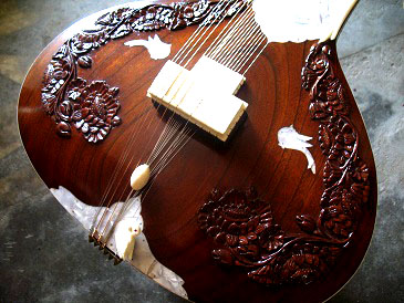 custom sitar _Custom Works CW#4 sitar